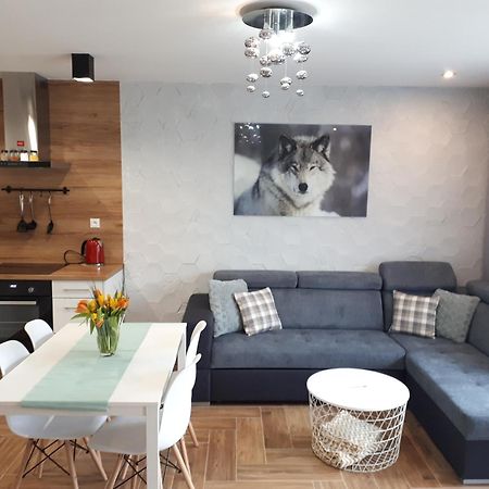 Apartamenty Pod Dzikowcem Boguszów-Gorce Esterno foto