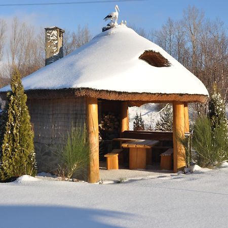 Apartamenty Pod Dzikowcem Boguszów-Gorce Esterno foto