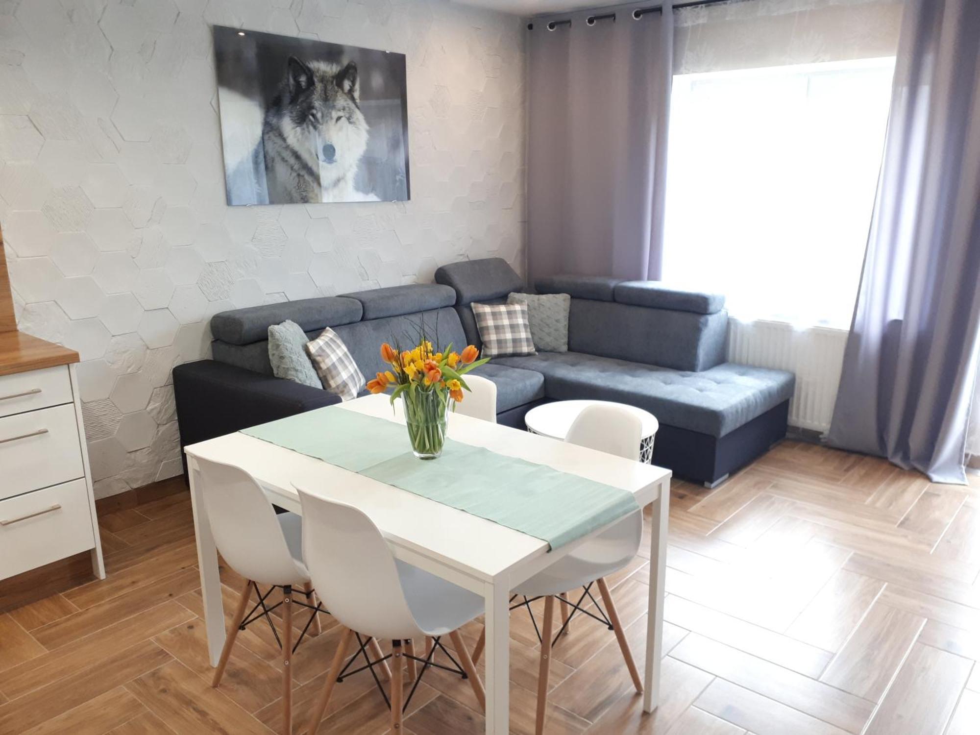 Apartamenty Pod Dzikowcem Boguszów-Gorce Esterno foto