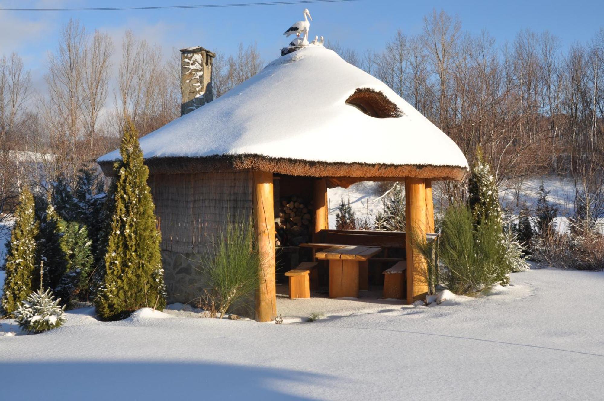 Apartamenty Pod Dzikowcem Boguszów-Gorce Esterno foto