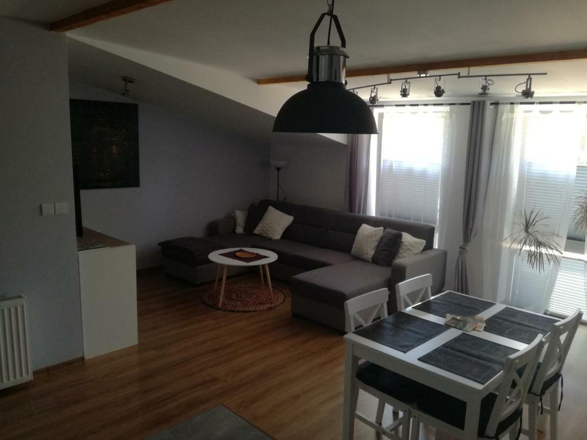Apartamenty Pod Dzikowcem Boguszów-Gorce Esterno foto
